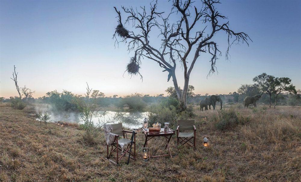 Kings Camp Private Game Reserve Klaserie Private Nature Reserve Exterior photo